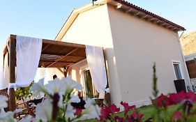 Sofelia Home
